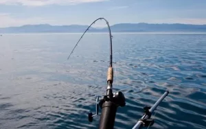 Fishing in the ocean