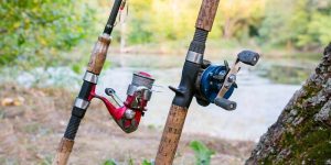 How Many Fishing Rods Per Person In Iowa? 