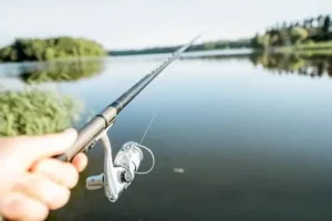 Do Graphite Fishing Rods Break Easily?