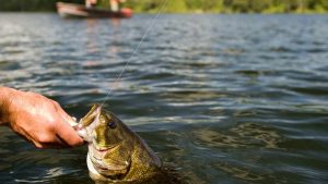 Is Night Fishing In Ontario Illegal? 
