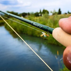 A Boron nanofiber fishing rod