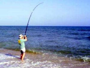 How to Catch Fish on Any Beach in the World