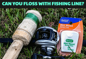 Can you floss with fishing line