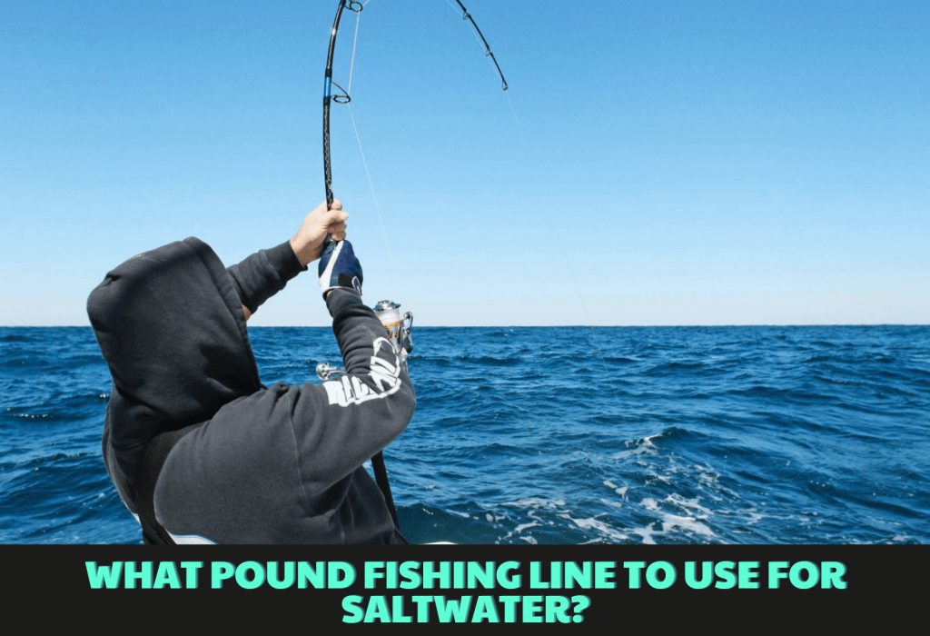 What pound fishing line to use for saltwater? Things to Know